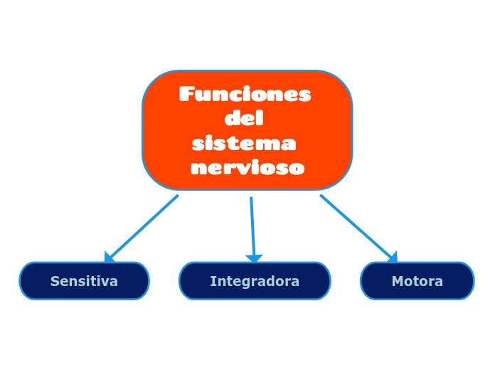 Mapa Conceptual De Las Funciones Del Sistema Nervioso www.mindomo.com